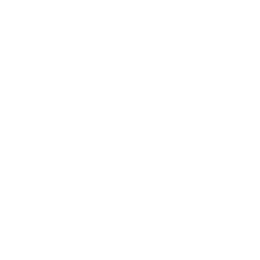 zig